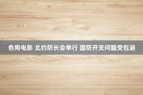 色狗电影 北约防长会举行 国防开支问题受包涵