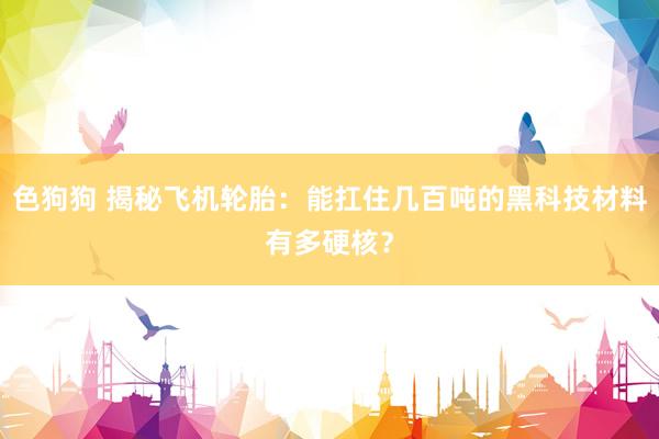 色狗狗 揭秘飞机轮胎：能扛住几百吨的黑科技材料有多硬核？