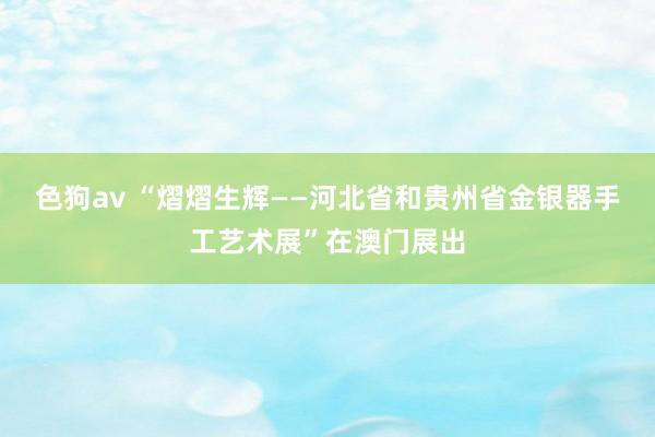 色狗av “熠熠生辉——河北省和贵州省金银器手工艺术展”在澳门展出