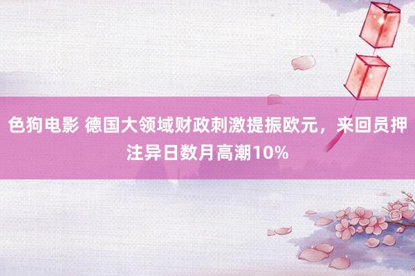色狗电影 德国大领域财政刺激提振欧元，来回员押注异日数月高潮10%
