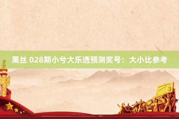 黑丝 028期小兮大乐透预测奖号：大小比参考