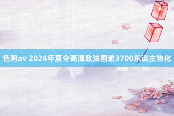 色狗av 2024年夏令高温致法国逾3700东谈主物化