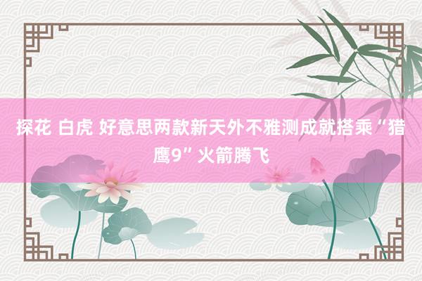 探花 白虎 好意思两款新天外不雅测成就搭乘“猎鹰9”火箭腾飞
