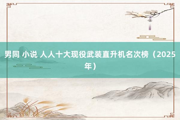 男同 小说 人人十大现役武装直升机名次榜（2025年）