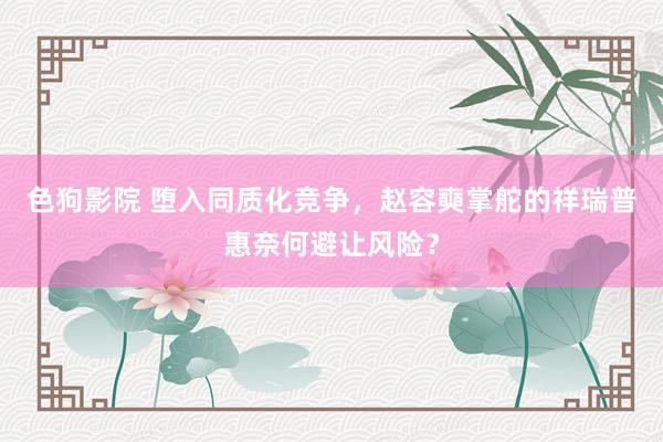 色狗影院 堕入同质化竞争，赵容奭掌舵的祥瑞普惠奈何避让风险？