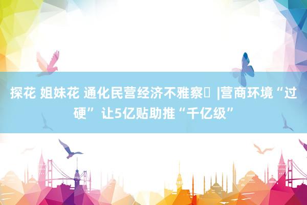 探花 姐妹花 通化民营经济不雅察⑬|营商环境“过硬” 让5亿贴助推“千亿级”