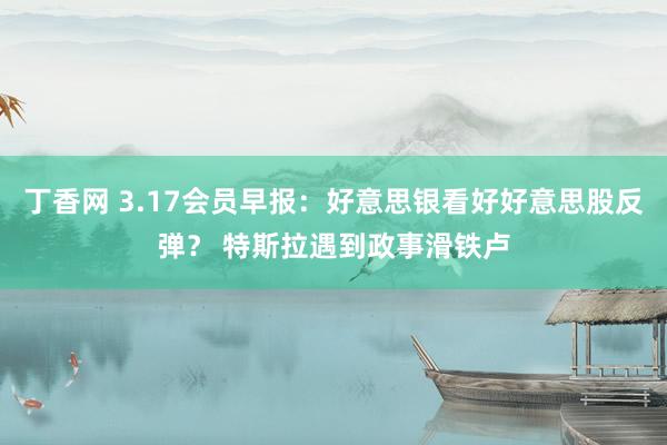 丁香网 3.17会员早报：好意思银看好好意思股反弹？ 特斯拉遇到政事滑铁卢