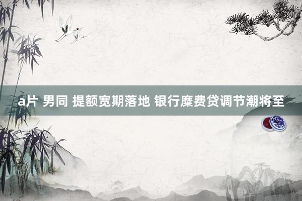 a片 男同 提额宽期落地 银行糜费贷调节潮将至