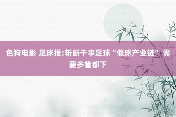 色狗电影 足球报:斩断干事足球“假球产业链” 需要多管都下
