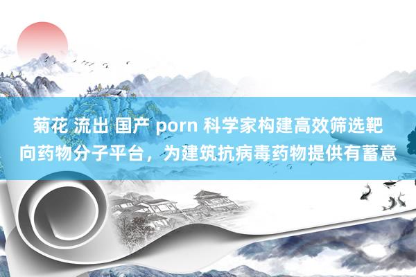 菊花 流出 国产 porn 科学家构建高效筛选靶向药物分子平台，为建筑抗病毒药物提供有蓄意