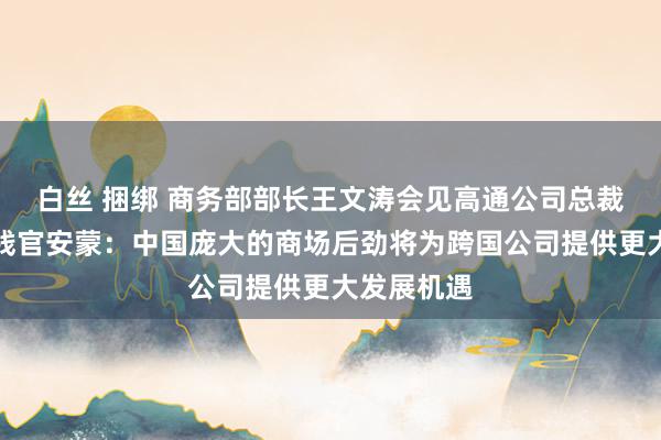 白丝 捆绑 商务部部长王文涛会见高通公司总裁兼首席实践官安蒙：中国庞大的商场后劲将为跨国公司提供更大发展机遇