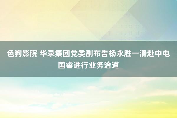 色狗影院 华录集团党委副布告杨永胜一滑赴中电国睿进行业务洽道