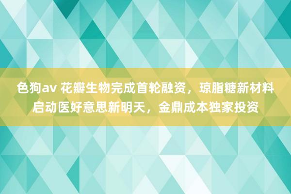 色狗av 花瓣生物完成首轮融资，琼脂糖新材料启动医好意思新明天，金鼎成本独家投资