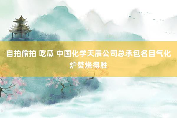 自拍偷拍 吃瓜 中国化学天辰公司总承包名目气化炉焚烧得胜