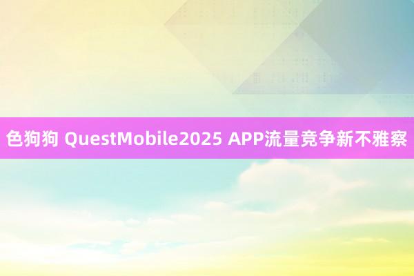 色狗狗 QuestMobile2025 APP流量竞争新不雅察