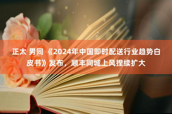 正太 男同 《2024年中国即时配送行业趋势白皮书》发布，顺丰同城上风捏续扩大