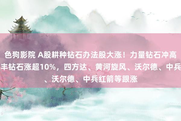 色狗影院 A股耕种钻石办法股大涨!力量钻石冲高妙15%,惠丰钻石涨超10%,四方达、黄河旋风、沃尔德、中兵红箭等跟涨