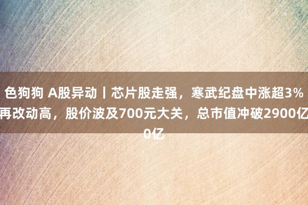 色狗狗 A股异动丨芯片股走强，寒武纪盘中涨超3%再改动高，股价波及700元大关，总市值冲破2900亿