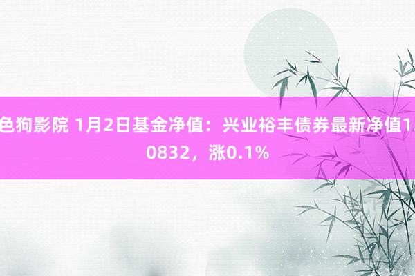 色狗影院 1月2日基金净值：兴业裕丰债券最新净值1.0832，涨0.1%
