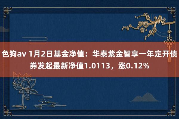 色狗av 1月2日基金净值：华泰紫金智享一年定开债券发起最新净值1.0113，涨0.12%