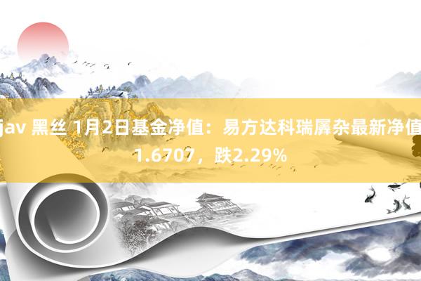 jav 黑丝 1月2日基金净值：易方达科瑞羼杂最新净值1.6707，跌2.29%