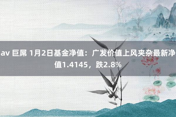 av 巨屌 1月2日基金净值：广发价值上风夹杂最新净值1.4145，跌2.8%