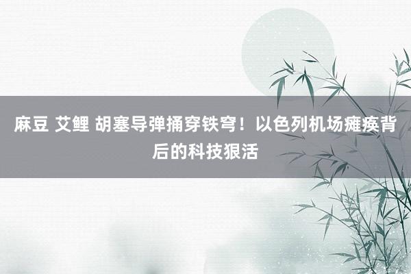 麻豆 艾鲤 胡塞导弹捅穿铁穹！以色列机场瘫痪背后的科技狠活