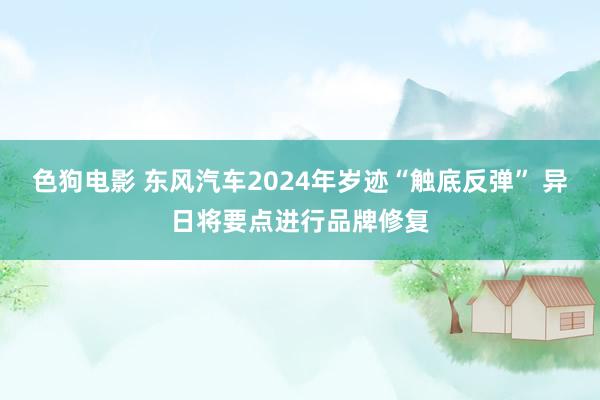 色狗电影 东风汽车2024年岁迹“触底反弹” 异日将要点进行品牌修复