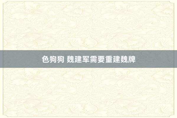色狗狗 魏建军需要重建魏牌