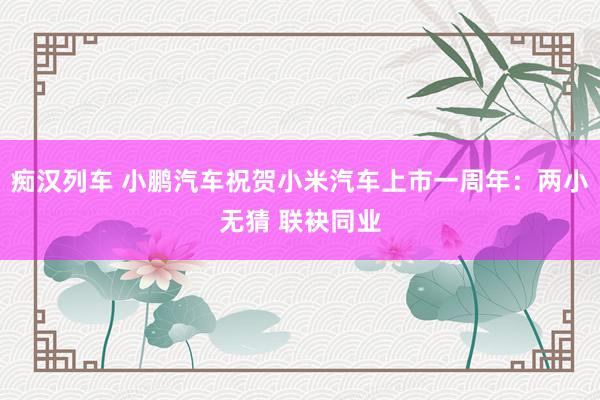 痴汉列车 小鹏汽车祝贺小米汽车上市一周年：两小无猜 联袂同业