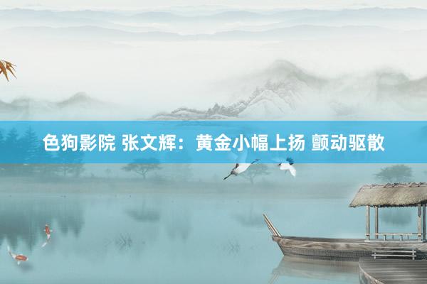 色狗影院 张文辉：黄金小幅上扬 颤动驱散