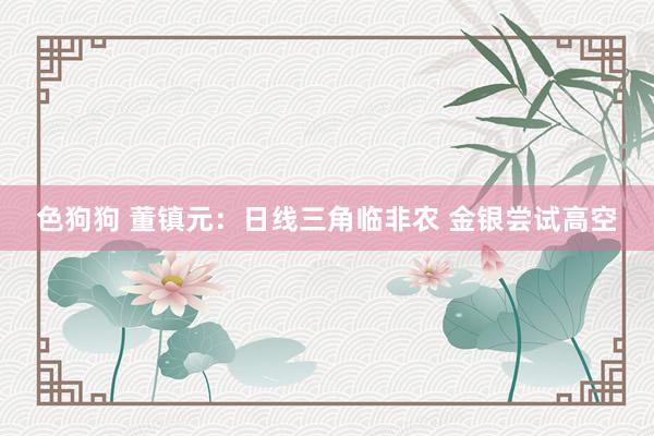 色狗狗 董镇元：日线三角临非农 金银尝试高空