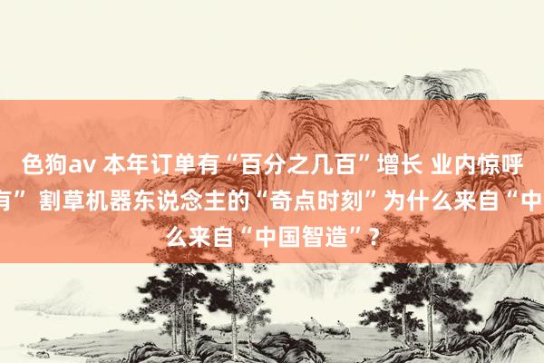 色狗av 本年订单有“百分之几百”增长 业内惊呼“前所未有” 割草机器东说念主的“奇点时刻”为什么来自“中国智造”？