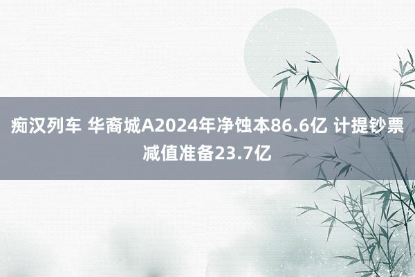 痴汉列车 华裔城A2024年净蚀本86.6亿 计提钞票减值准备23.7亿