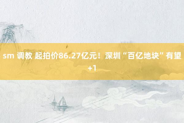sm 调教 起拍价86.27亿元！深圳“百亿地块”有望+1