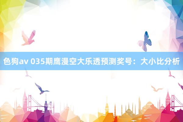 色狗av 035期鹰漫空大乐透预测奖号：大小比分析