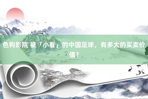 色狗影院 被「小看」的中国足球，有多大的买卖价值？