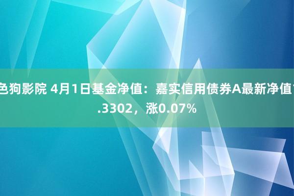 色狗影院 4月1日基金净值：嘉实信用债券A最新净值1.3302，涨0.07%