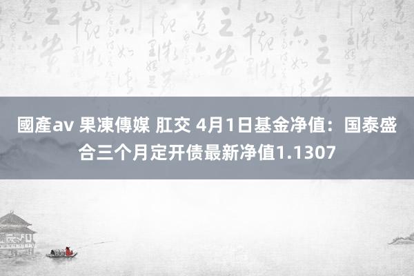 國產av 果凍傳媒 肛交 4月1日基金净值：国泰盛合三个月定开债最新净值1.1307