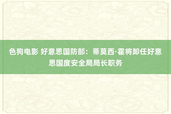 色狗电影 好意思国防部：蒂莫西·霍将卸任好意思国度安全局局长职务