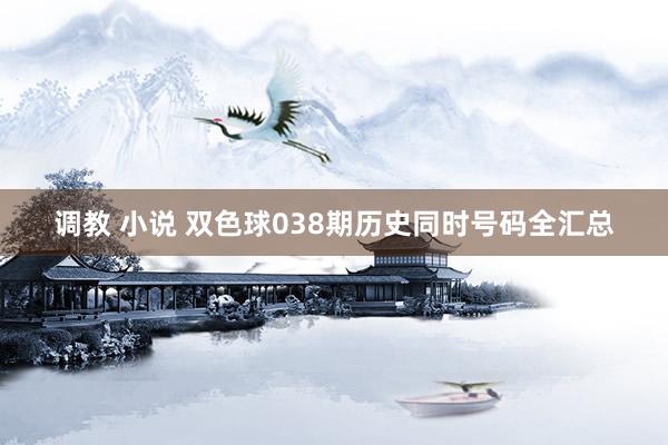 调教 小说 双色球038期历史同时号码全汇总