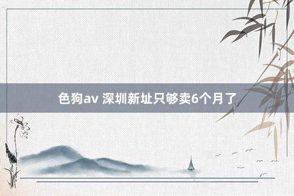 色狗av 深圳新址只够卖6个月了