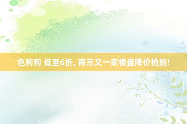 色狗狗 低至6折， 南京又一家楼盘降价抢跑!