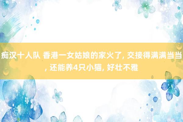 痴汉十人队 香港一女姑娘的家火了， 交接得满满当当， 还能养4只小猫， 好壮不雅