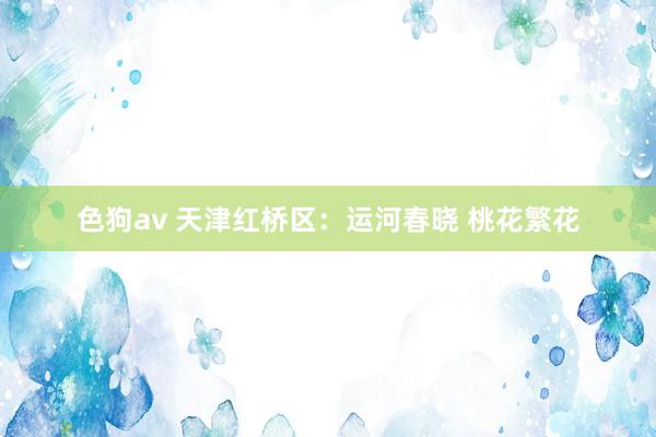 色狗av 天津红桥区：运河春晓 桃花繁花