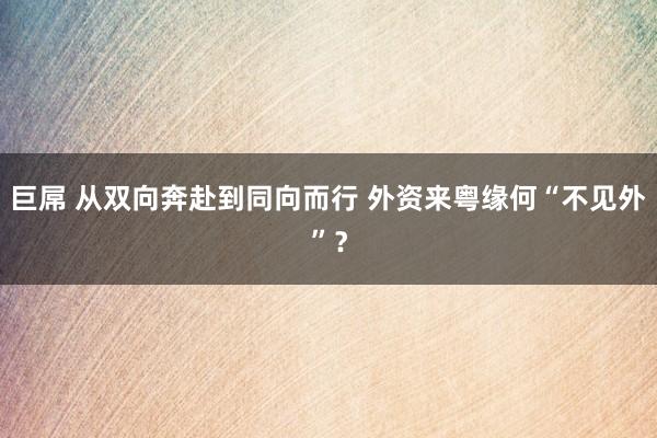 巨屌 从双向奔赴到同向而行 外资来粤缘何“不见外”？