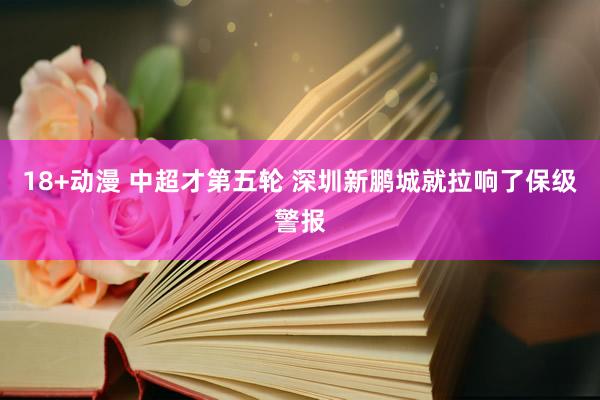 18+动漫 中超才第五轮 深圳新鹏城就拉响了保级警报