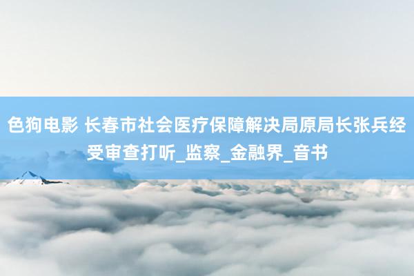 色狗电影 长春市社会医疗保障解决局原局长张兵经受审查打听_监察_金融界_音书