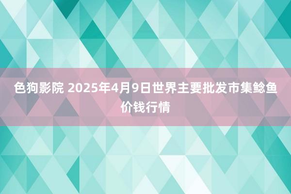 色狗影院 2025年4月9日世界主要批发市集鲶鱼价钱行情