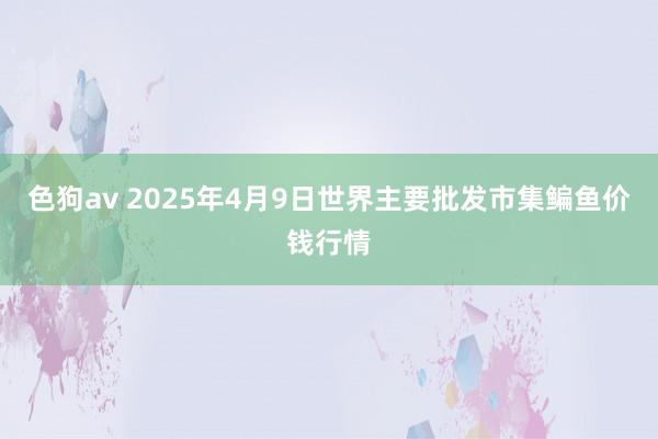 色狗av 2025年4月9日世界主要批发市集鳊鱼价钱行情
